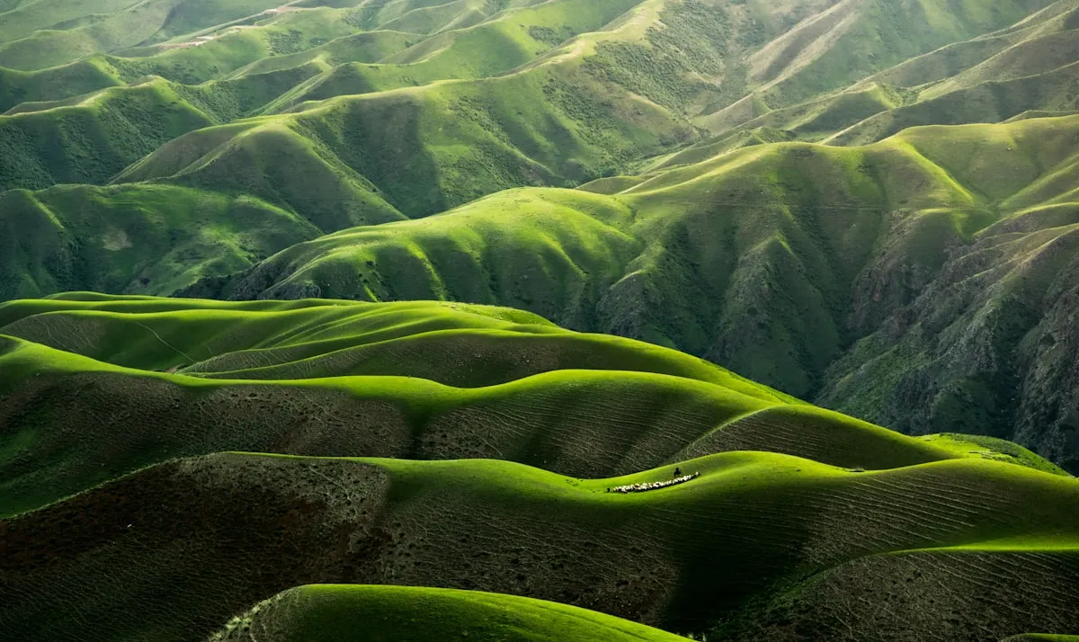 Collines verdoyantes vues du ciel