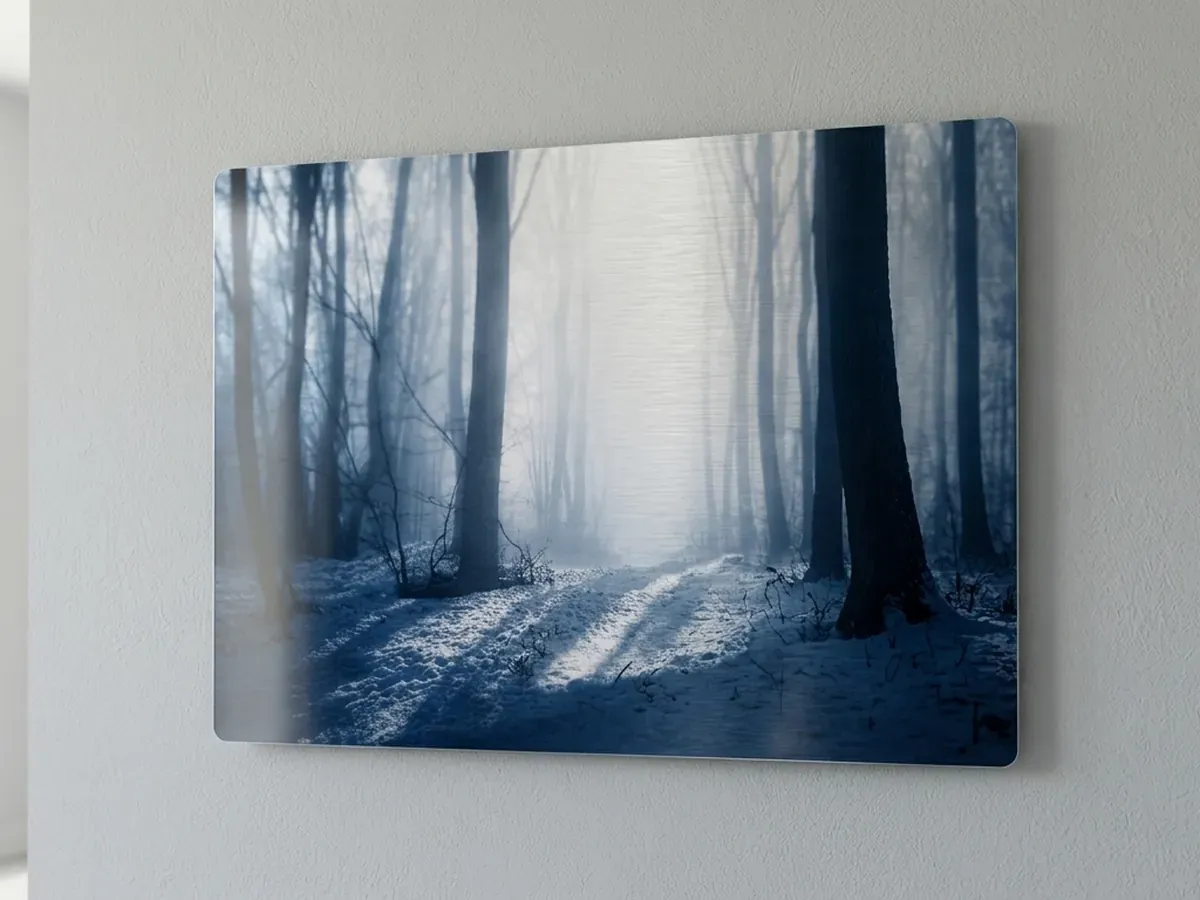 Tirage photo sur aluminium brossé accroché au mur